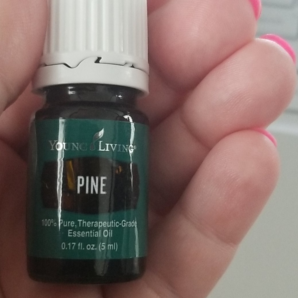 YL Pine Essential Oil